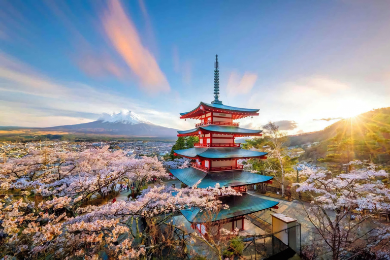 Tokyo, Mt. Fuji, Kyoto, Osaka: 7-Day Private Tour of Japan