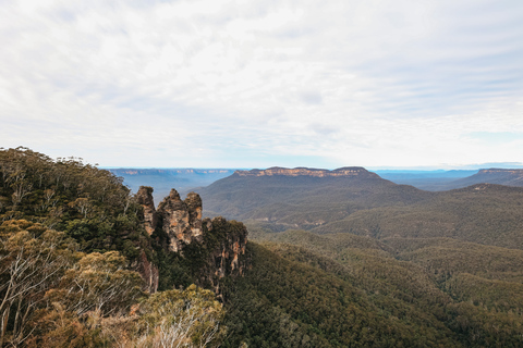 Z Sydney: Góry Błękitne i Scenic World – all inclusiveOdbiór z 132 Castlereagh St, Sydney – 6:55