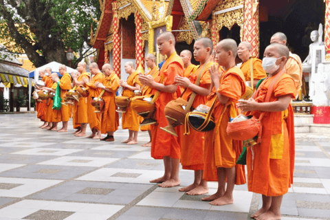 Chiang Mai: Elephant Sanctuary & Watch Sunrise at Temple