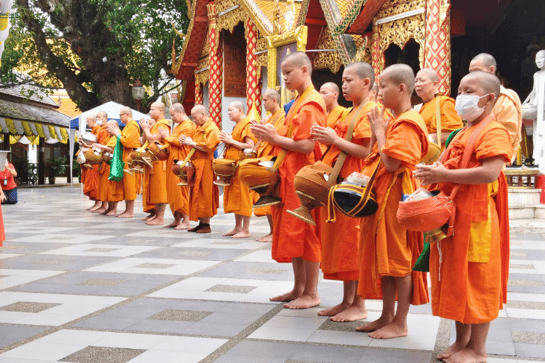 Chiang Mai: Elephant Sanctuary & Watch Sunrise at Temple