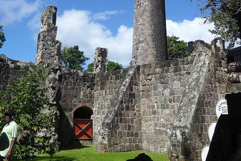 St Kitts: Panaramic Rainforests and Beach Excursions