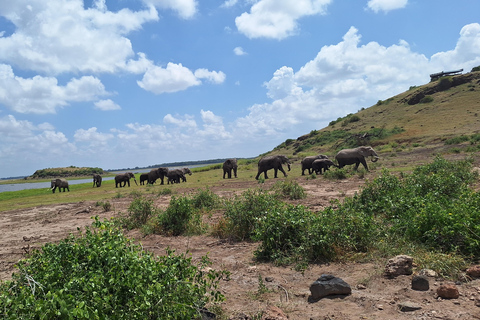 Nairobi: Amboseli National Park Tagestour mit PirschfahrtenSolo Nairobi: Amboseli National Park Tagestour