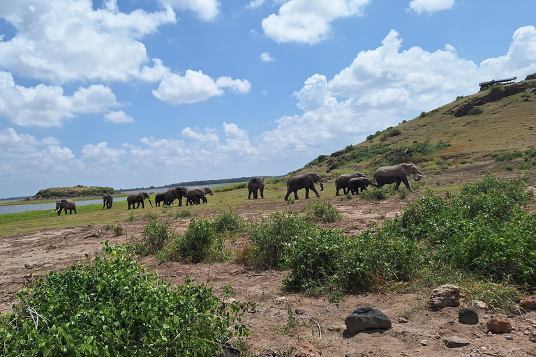 Nairobi: Amboseli National Park Tagestour mit PirschfahrtenSolo Nairobi: Amboseli National Park Tagestour