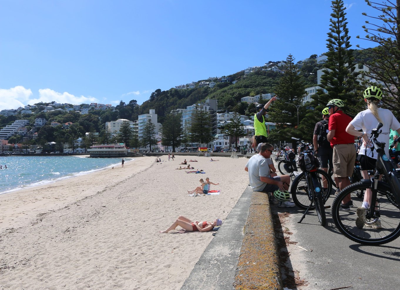 Wellington: Easy Rider guidet tur på eBike