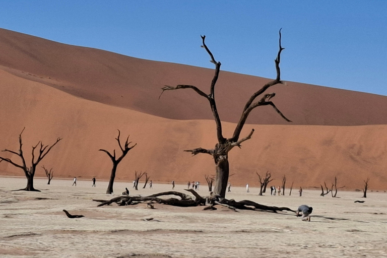 Windhoek: Sossusvlei and Swakopmund 3-Day & Sandwich Harbour