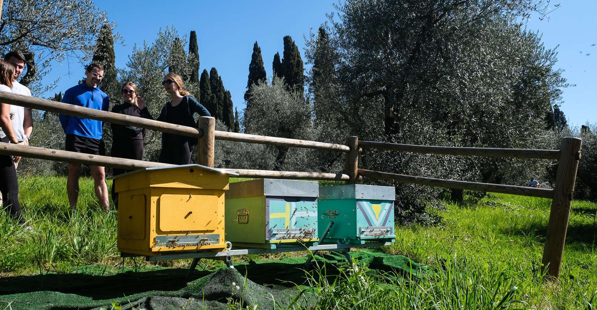 Florence: Tuscany Bike Tour with Wine & Olive Oil photo 14