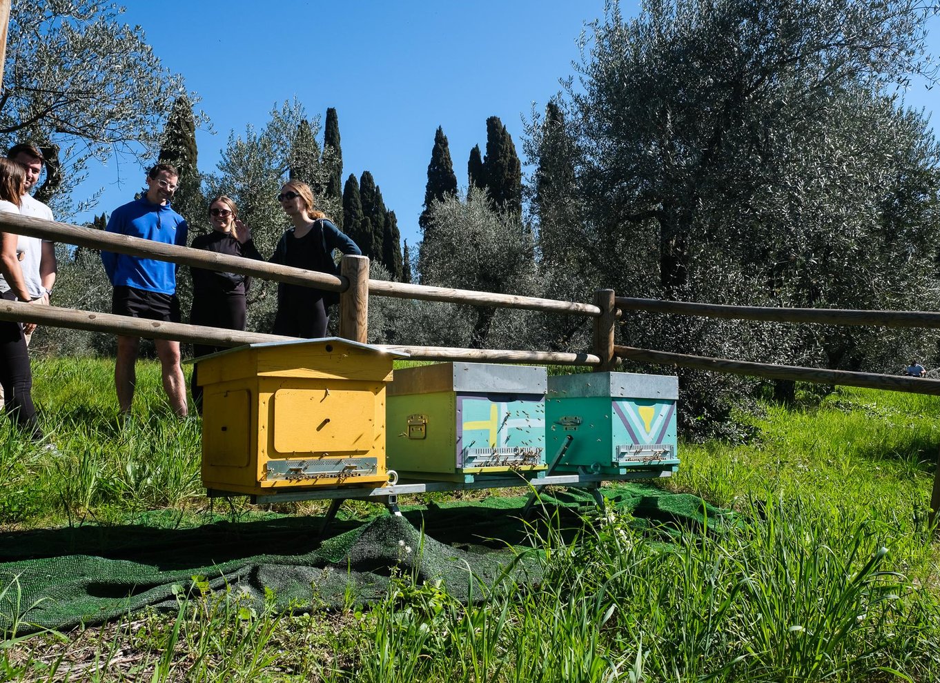 Firenze: Halvdags cykeltur og smagsprøver i Toscana