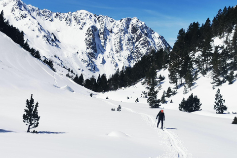 Andorra: Full-Day Freeride Skiing or Snowboarding Tour