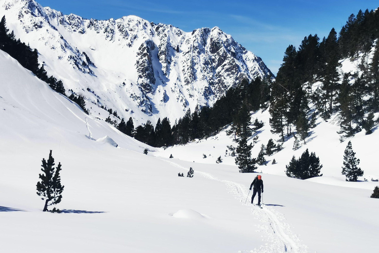Andorra: Full-Day Freeride Skiing or Snowboarding Tour