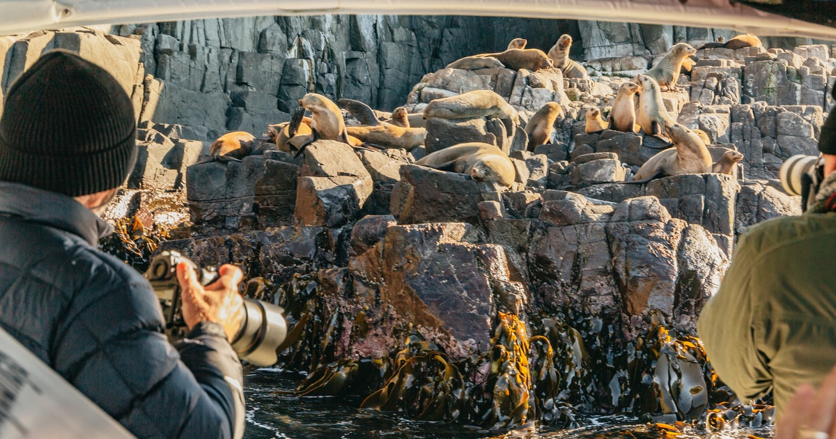 From Hobart/Adventure Bay: Bruny Island Wilderness Cruise | GetYourGuide