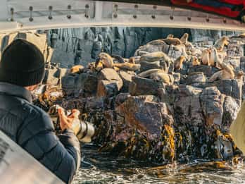 From Hobart/Adventure Bay: Bruny Island Wilderness Cruise