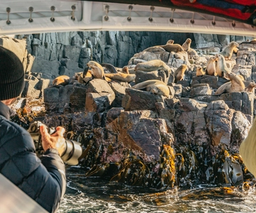 From Hobart/Adventure Bay: Bruny Island Wilderness Cruise