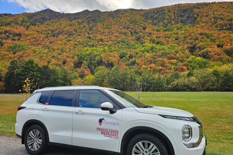 Queenstown: Glenorchy and Wanaka Private Day Trip