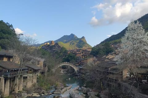 Shanghai-Shangrao Wangxian valley day tour with train
