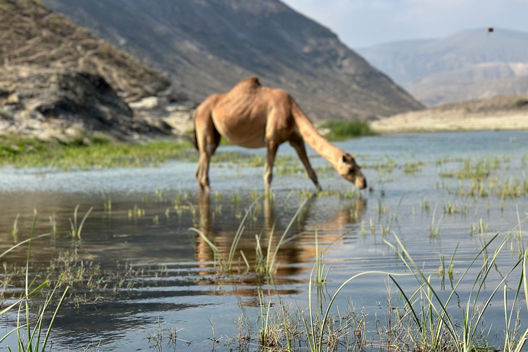 Tour delle spiagge occidentali: FAZAYAH