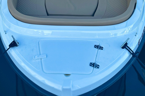 ماربيا: تأجير قوارب بدون ترخيص لمشاهدة الدلافينإيجار لمدة 30 دقيقة