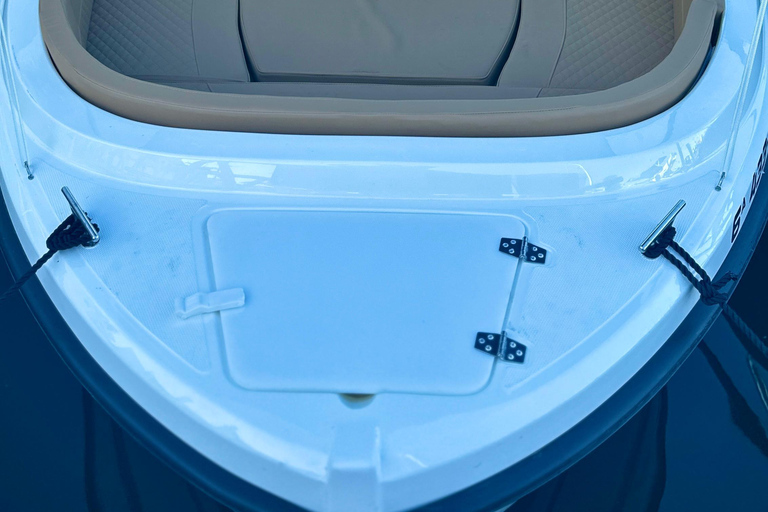 ماربيا: تأجير قوارب بدون ترخيص لمشاهدة الدلافينإيجار لمدة 30 دقيقة