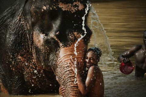Phuket: Elephant Jungle Sanctuary Half-Day Visit with Meal