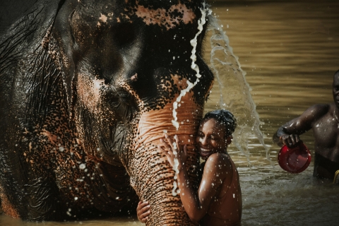Phuket: Półdniowa wizyta w sanktuarium w dżungli słoni