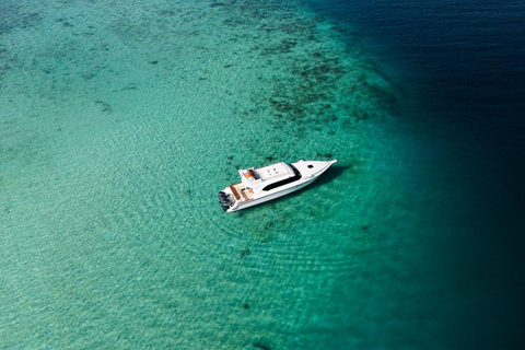 Komodo Day Trip 6 Spots | Premium Speedboat & Entrance Fees