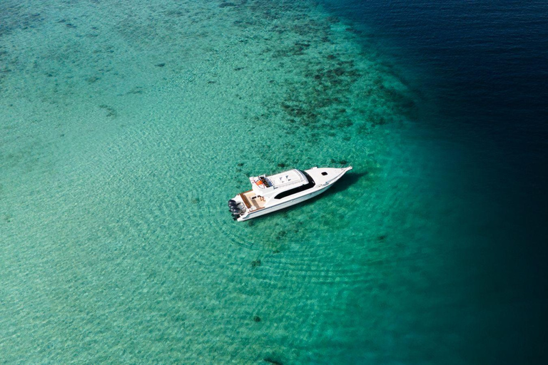 Komodo Day Trip 6 Spots | Premium Speedboat & Entrance Fees