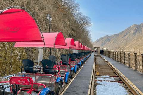 Van Seoul: Alpaca boerderij met railbike/rodelbaanRailbike Groepstour, verzamelen bij Dongdaemun (DDP)