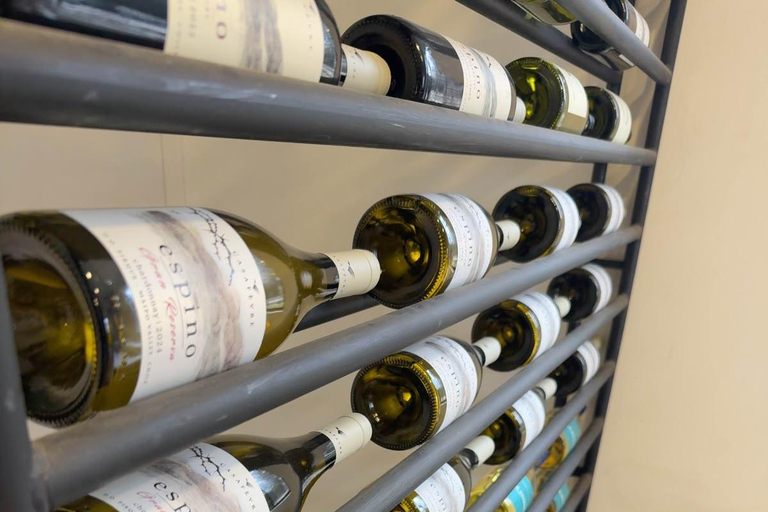 From Santiago: Casa Fevre Tour with Wine Tasting