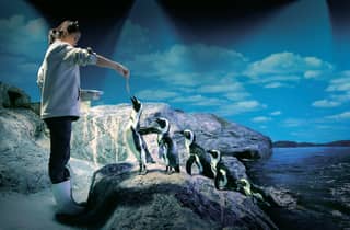 Bangkok: SEA LIFE Bangkok Ocean World Ticket
