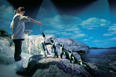 بانكوك: تذكرة دخول سي لايف بانكوك ومتحف مدام توسوتواريخ الذروة في نفس اليوم