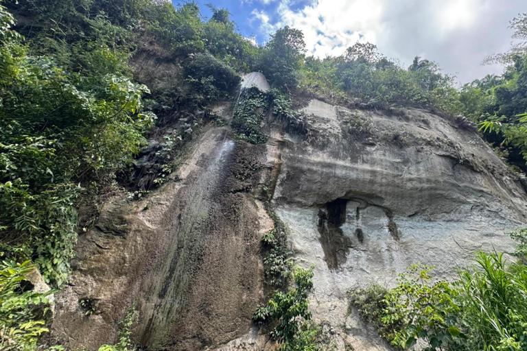 Cebu: Jungle Hike to Hidden Twin Waterfalls