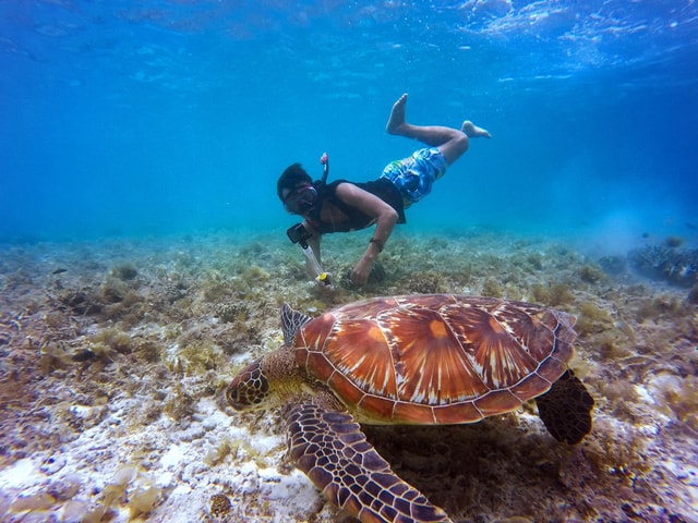 Muscat: Daymaniyat Islands Snorkeling Tour with BBQ Lunch