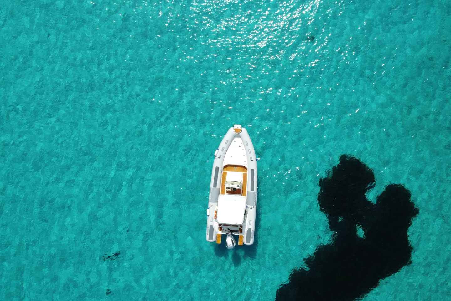 From Stintino: Half-day dinghy tour in Asinara Gulf