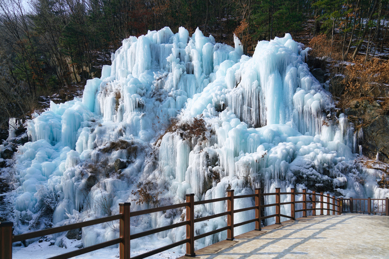 Seoul: Strawberry Farm &amp; Winter Sled &amp; Eobi Ice ValleyShared Tour - Meet at DDP Station