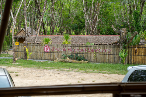 Khao Lak’s Best: Elephant Sanctuary,Rubber Tapping&Waterfall Khaolak Elephant Sanctuary Guided Tour with Hotel Transfers