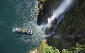 Milford Sound: Wilderness Cruise with Nature Guide