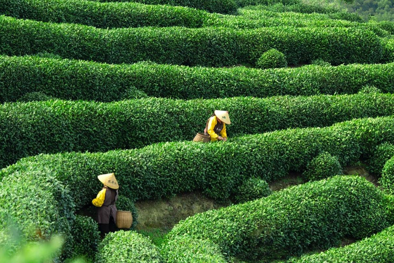 Hangzhou: West Lake to Jiangnan former residence Day Tour