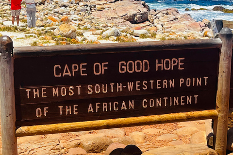 Robben Island, Penguins & Cape of Good Hope Adventure