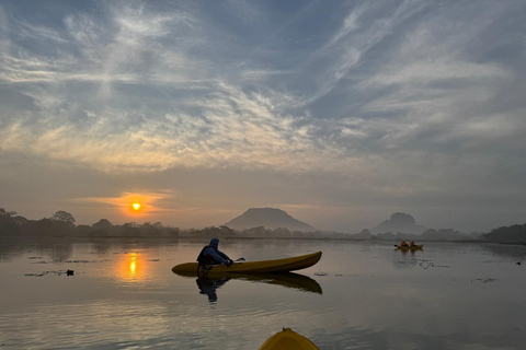 Sigiriya: Birdwatching Kayak Tour with Guide