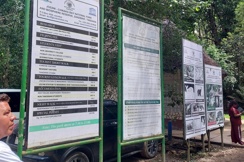 Zanzibar: Las Jozani i bar plażowy Kae Funk Sunset