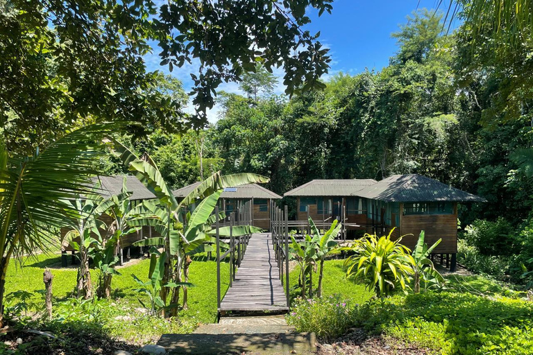 Da Cusco: 5 giorni di esplorazione e connessione nella Zona Riservata del ManuDa Cusco: 5 giorni di esplorazione e connessione nella Zona Riservata di Manu