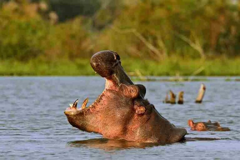 From Nairobi: Hell’s Gate National Park & Lake Naivasha