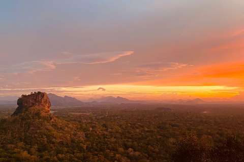 From dambulla: Sigiriya /pidurangala and Safari Day Trip