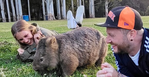 Wilde Wombats und Kängurus erleben, alles inklusive, Sydney