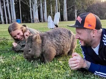 Sydney Experiencia con Wombats y Canguros Salvajes