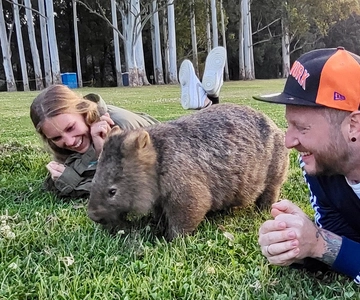 Sydney: Wild Wombats and Kangaroo Experience