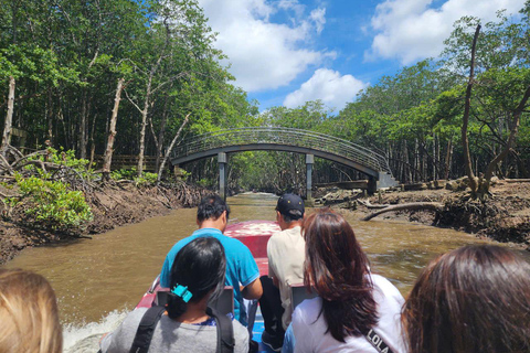 Excursão de 1 dia à floresta de mangue de Can Gio e à Ilha dos Macacos