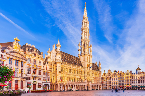 Brussels: Private Historical Highlights Walking Tour Tour in French