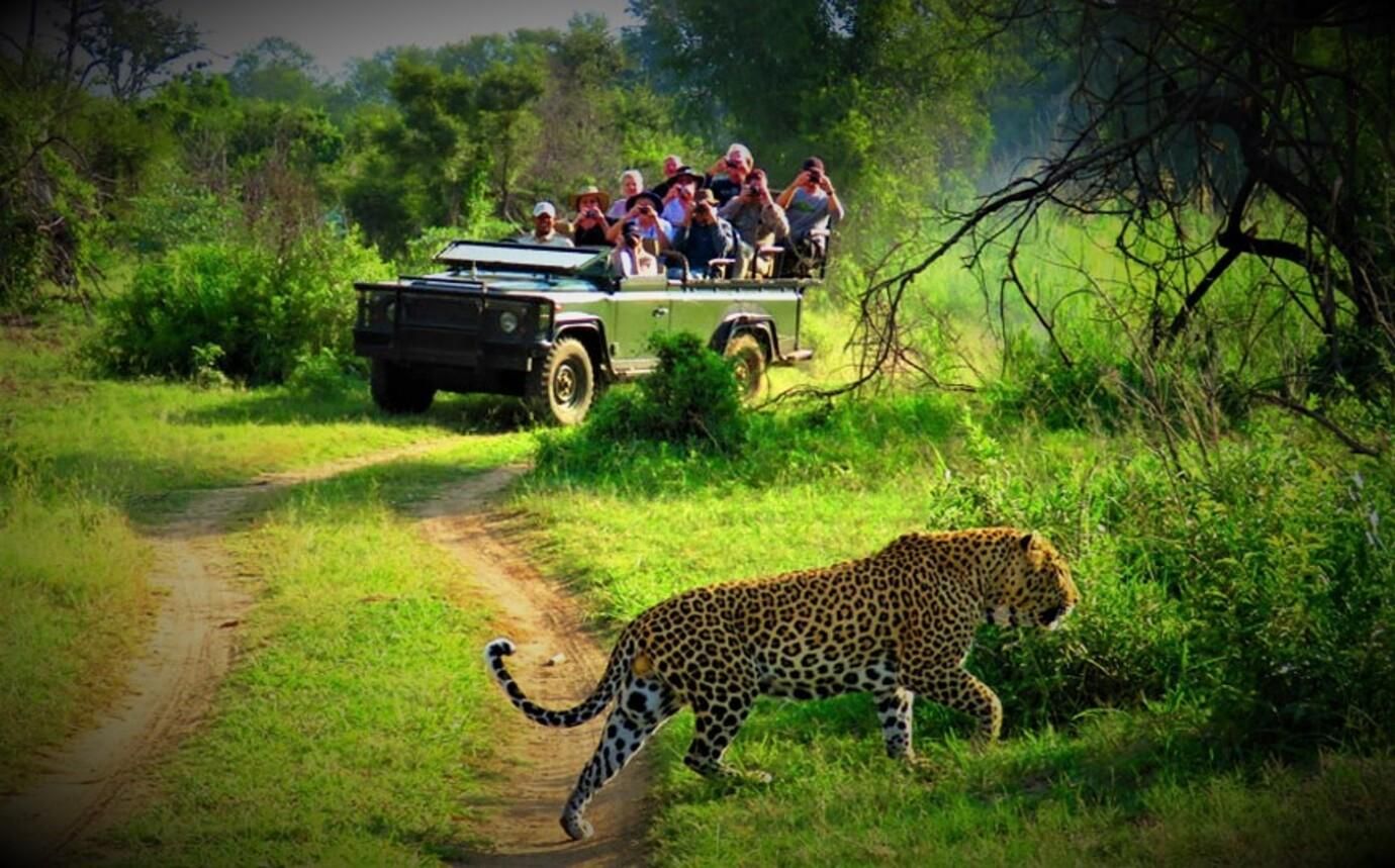 Von Kathmandu/Pokhara: Private 3-tägige Chitwan Safari Tour