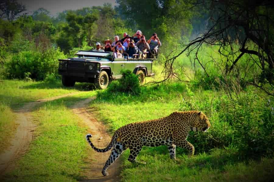 Von Kathmandu/Pokhara: Private 3-tägige Chitwan Safari Tour. Foto: GetYourGuide