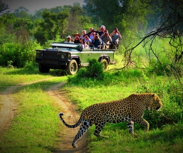 From Kathmandu/Pokhara: Private 3-Day Chitwan Safari Tour